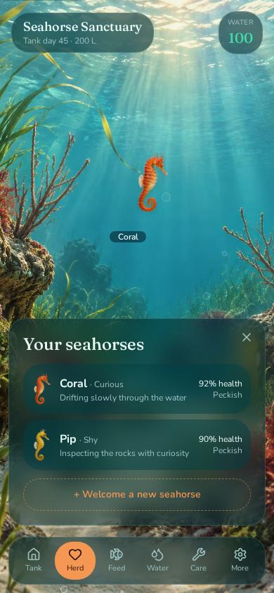 The herd — each seahorse with its own name and personality