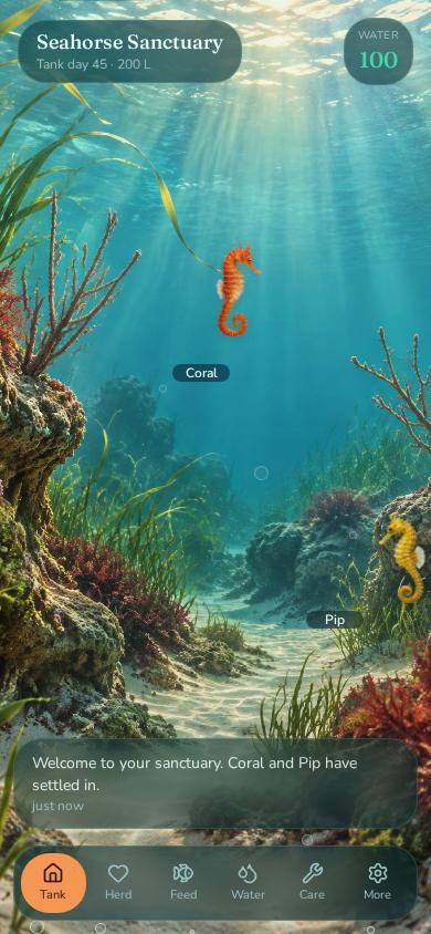 The living tank with two seahorses drifting among the plants
